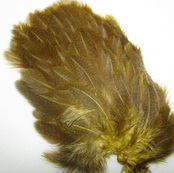 1/2 Whiting soft hackle Brahma ���� ������ ��������� �����